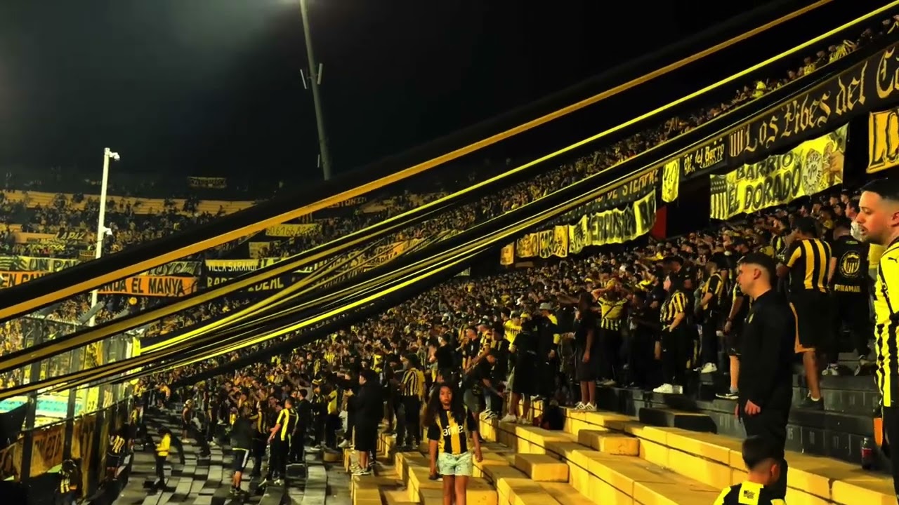 Hinchada De Peñarol vs Dep. Maldonado / Cl 2024 / Campeón Del Siglo