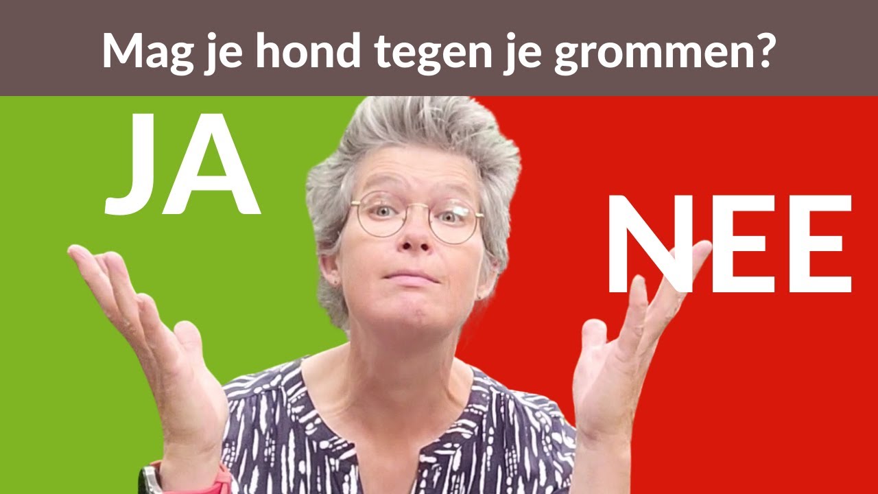 Mag je hond tegen je grommen? #hondentaal #honden