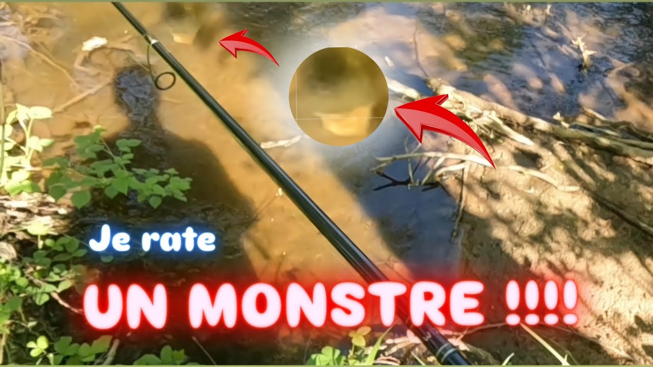 Cette rivière de 1ère catégorie cache des ÉNORMES BROCHETS !!!! 😱