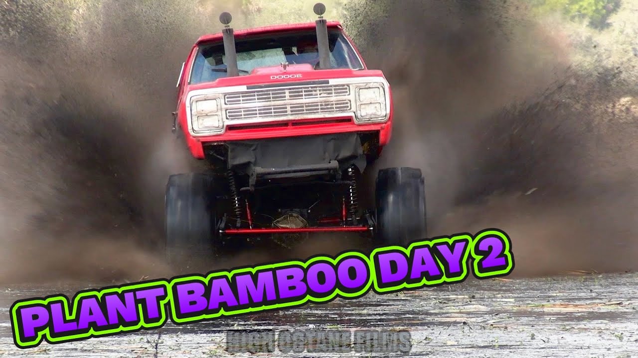 PLANT BAMBOO TRUCKS GONE WILD MUDDY VALENTINE DAY 2 FRIDAY OPEN BOGGING