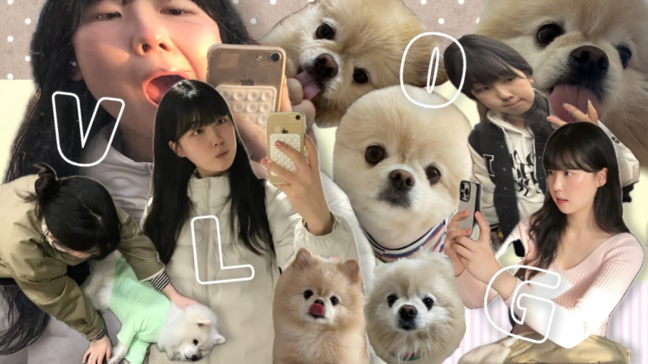 [VLOG] 11.5월~12월 학기말 일상 브이로그 • 그리고 안녕 2025🤗💛