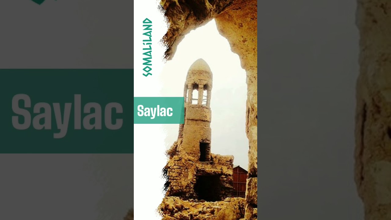 Saylac 2021