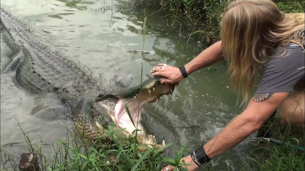 Zam's Bayou Swamp Tour HD