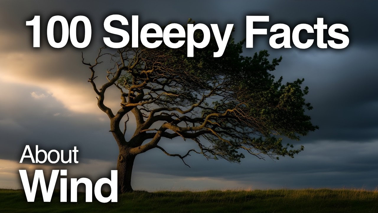 The Most Relaxing Facts About Wind to Fall Asleep To