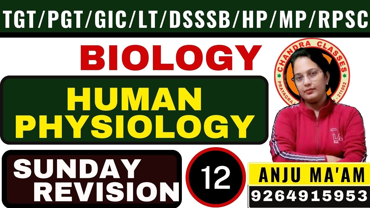 HUMAN PHYSIOLOGY || SUNDAY REVISION 12 || TGT#PGT#LT#KVS#NVS#DSSSB||ANJU MAM#9264915953