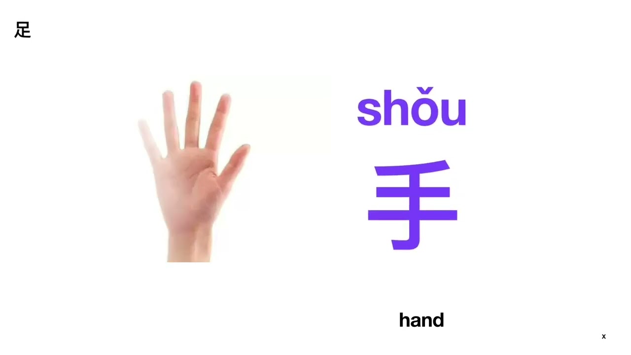 Learning the Chinese Characters : person  mouth hand foot  学习汉字：人 口 手 足