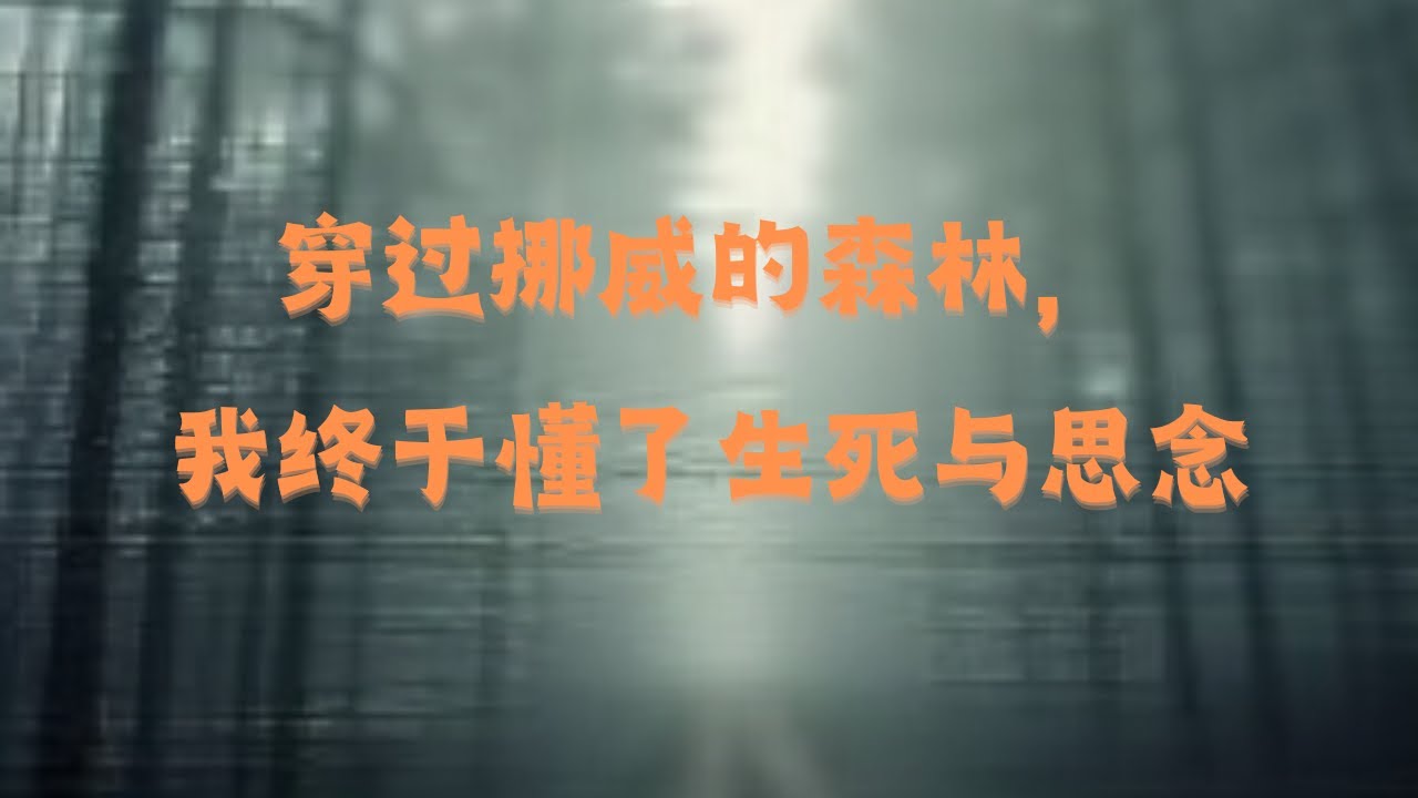 穿过挪威的森林，我终于懂了生死与思念