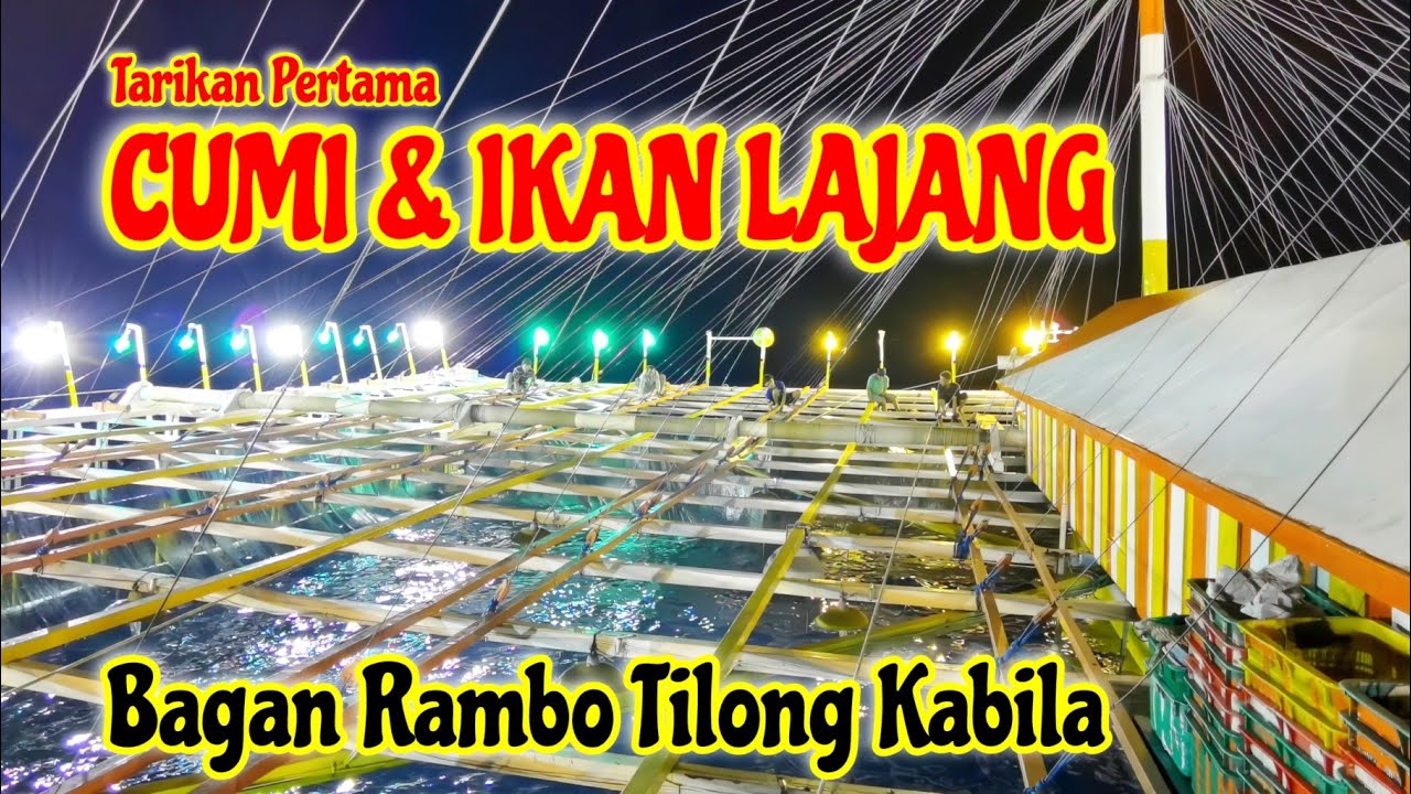 Tarikan Pertama Dapat Cumi & Ikan Lajang || Bagan Rambo Tilong Kabila || The Boegis Jak 19