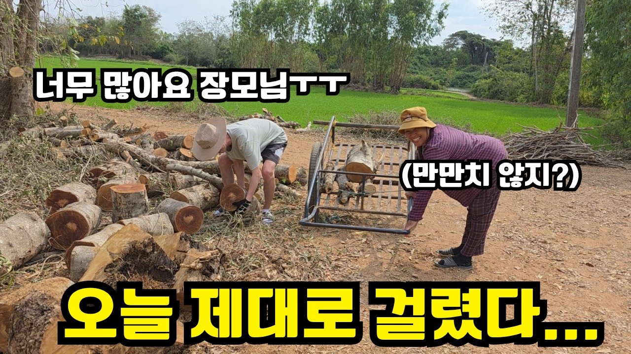 남자없어도 괜찮아!  태국 시골 노동 강도 이거 실화야..???