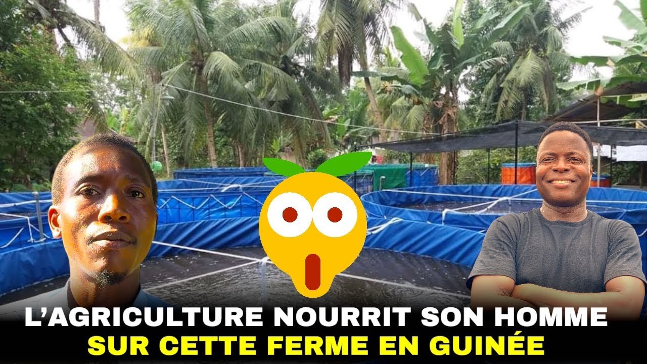 La terre nourrit son homme dans cette ferme intégrée Guinéenne.