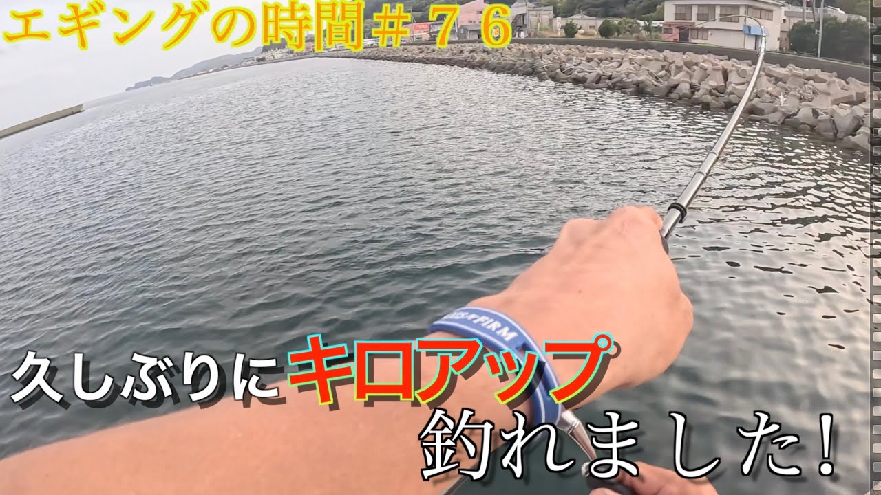 エギングの時間＃ 76　久しぶりにキロアップ釣れました！