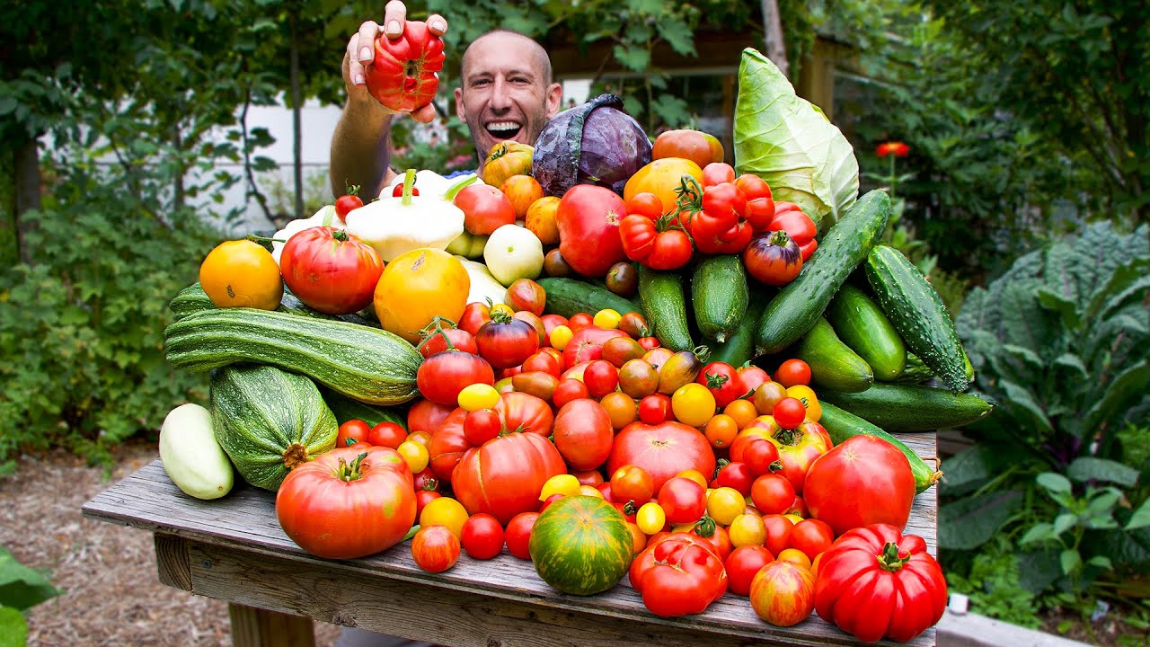 Amazing Summer Garden Harvest, Tomato Yields You Have To See To Believe!