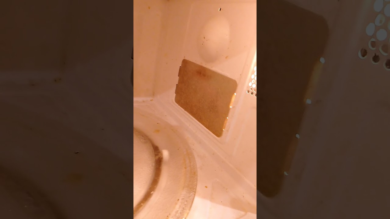 Почему слюду нужно менять вовремя 