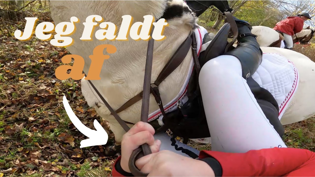 Hubertusjagt - JEG FALDER AF