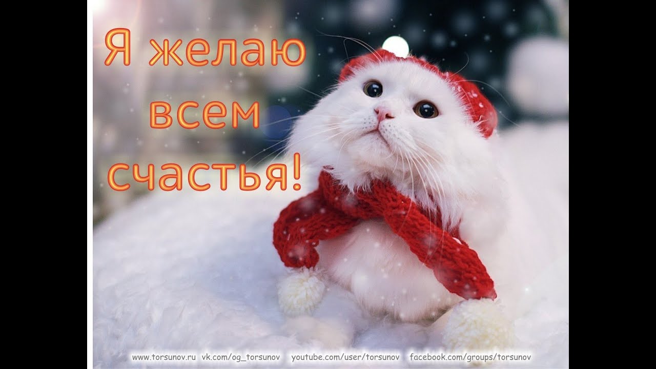 Молитва за мир во всем мире! Live 01.02.2026