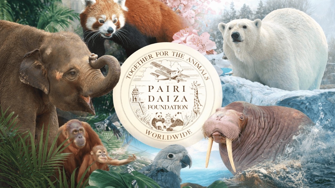 🐻‍❄️PAIRI DAIZA El MEJOR ZOO De EUROPA🐻‍❄️ | ZOO TOUR