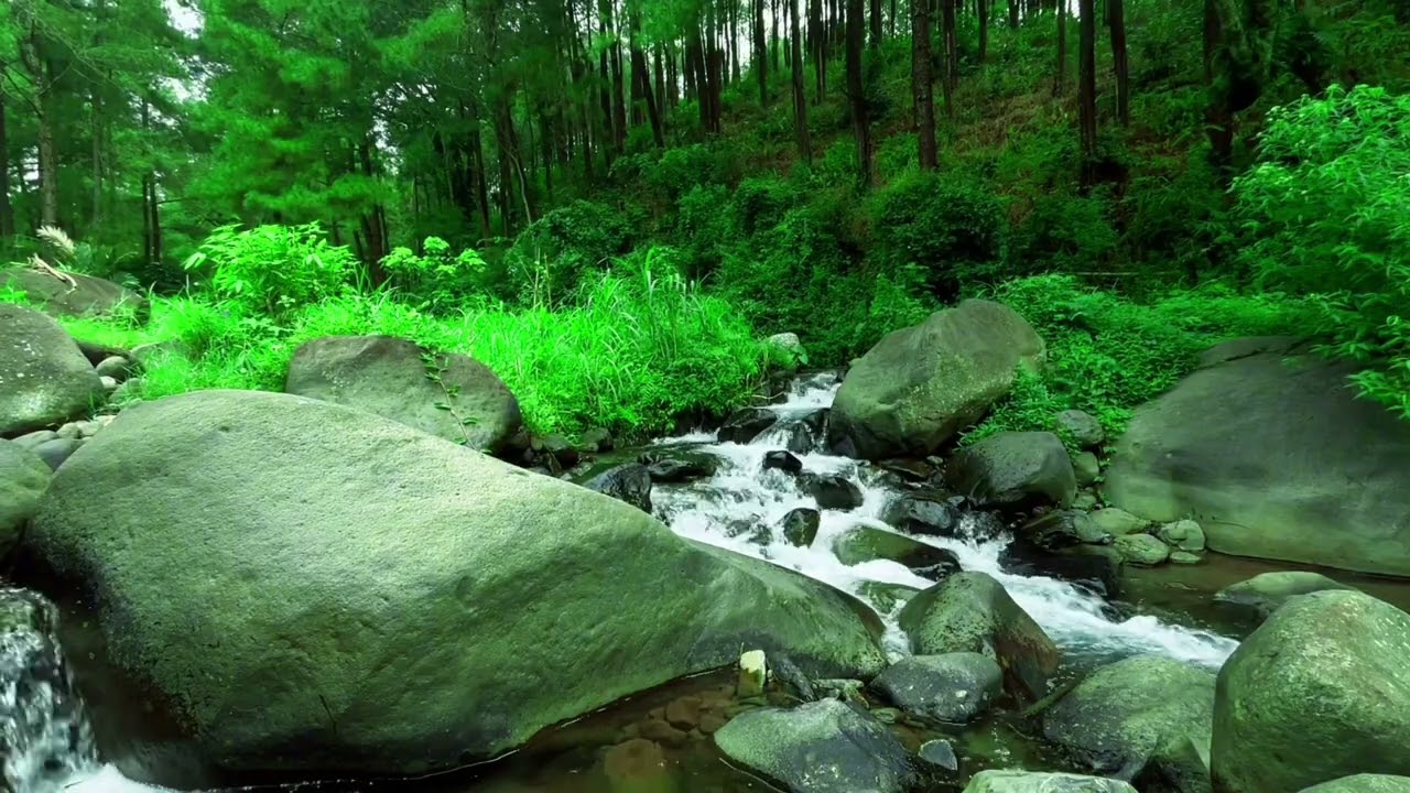 Forest River Flow | Pure Water Sounds for Deep Sleep and Relaxation | White Noise