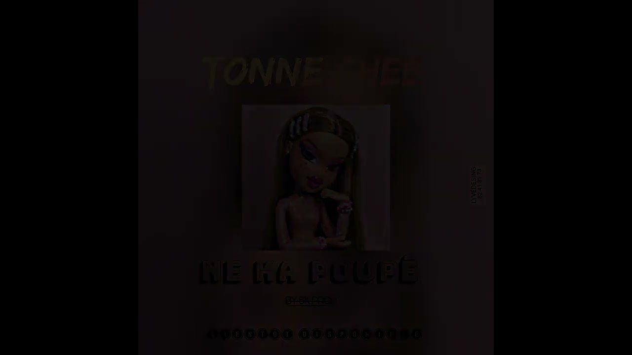TONNE CHE [NE KA POUPE] son officiel by 6k