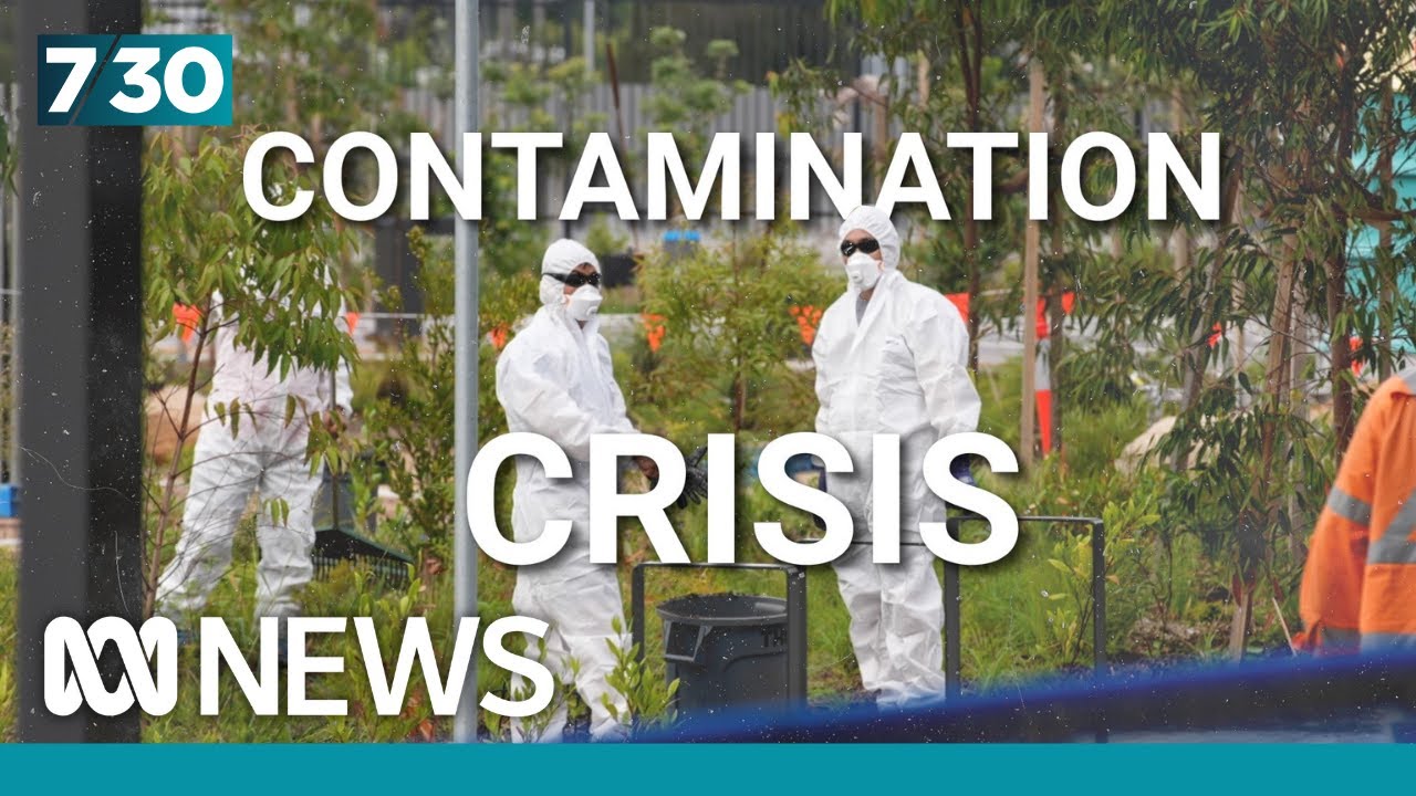 The experts trained to identify asbestos in mulch | 7.30