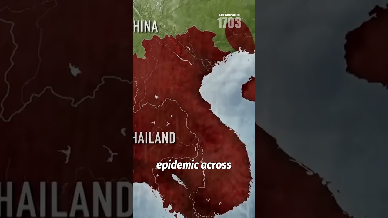 Untold Stories: World War 2's Hidden Chapters