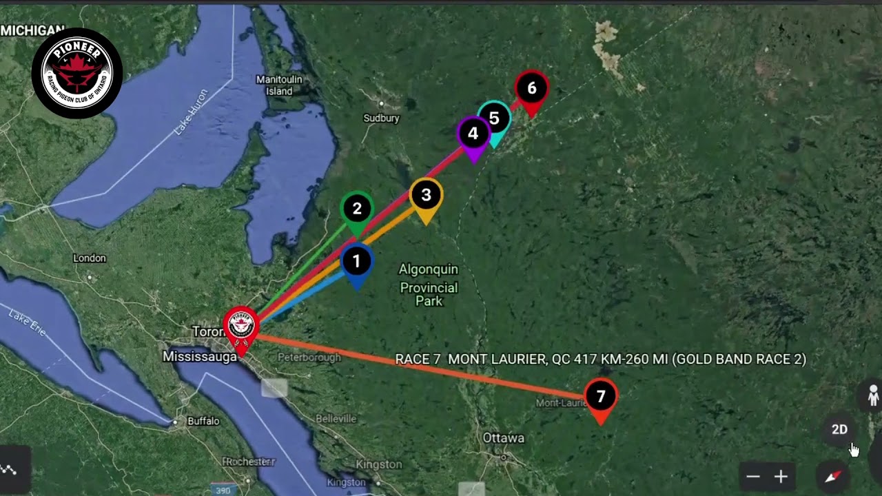 RACE 7 MONT LAURIER, QC - GOLD BAND RACE 2 & 4