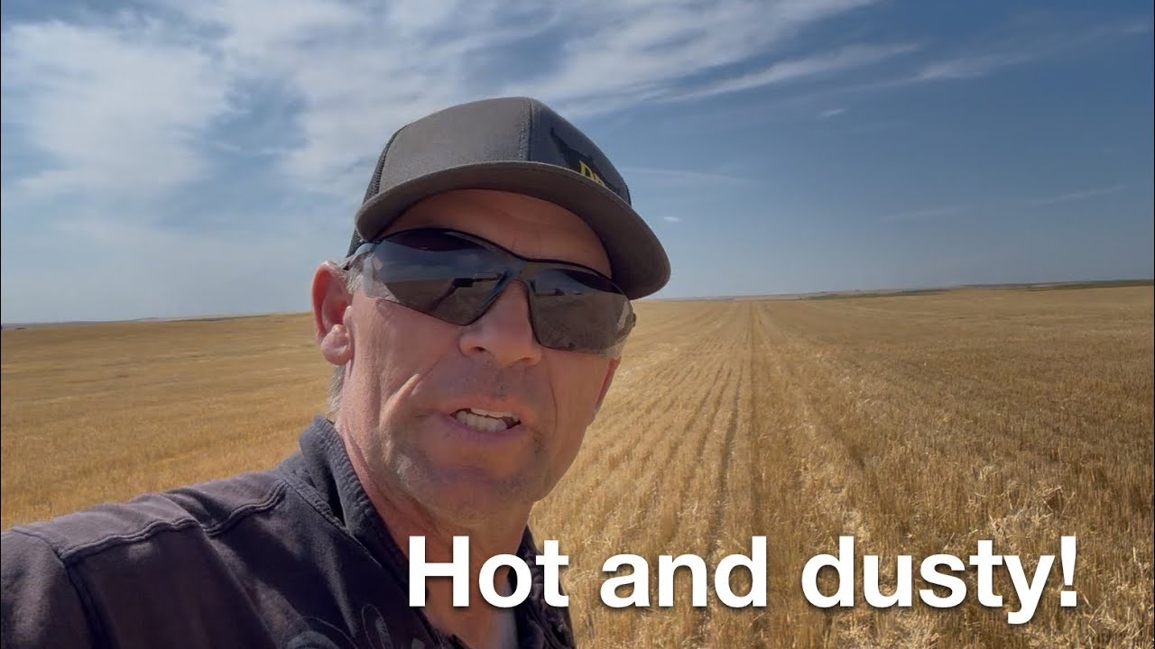 Hot and dusty week of Barley!
