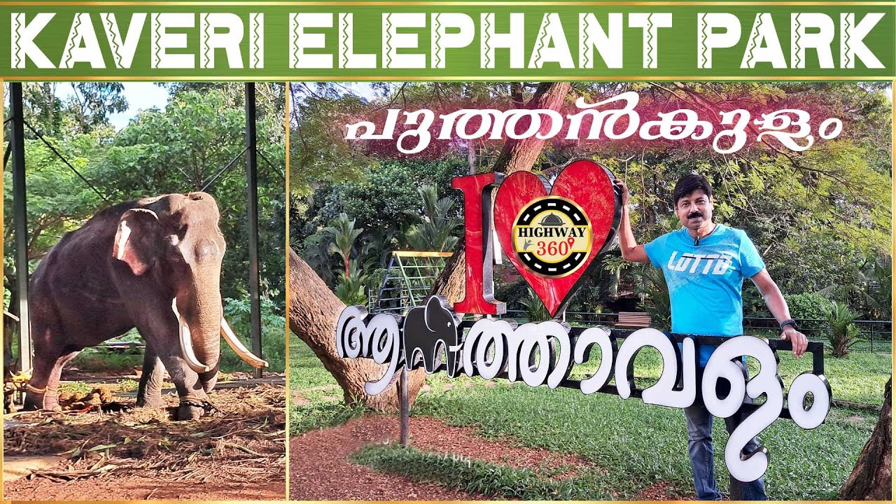 KAVERI ELEPHANT PARK - ANATHAVALAM PUTHENKULAM | പുത്തൻകുളം ആനത്താവളം