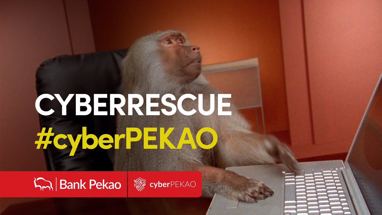 CYBERRESCUE