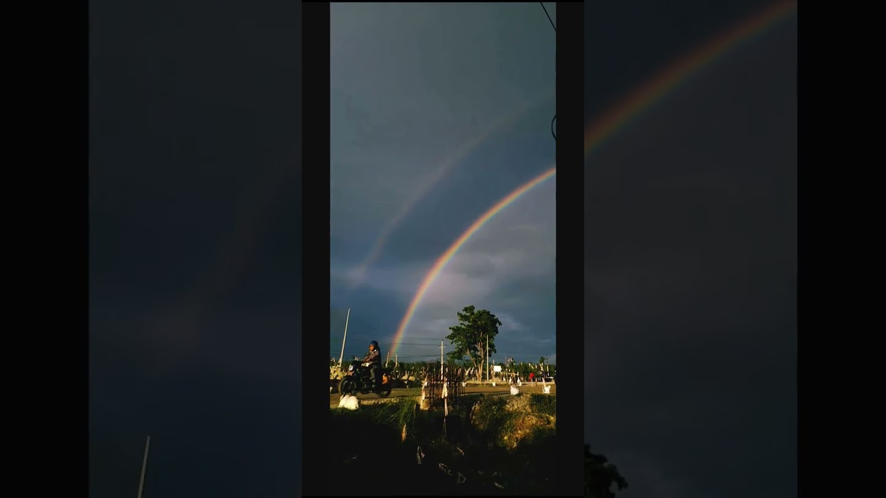 7 colours of rainbow #rainbow
