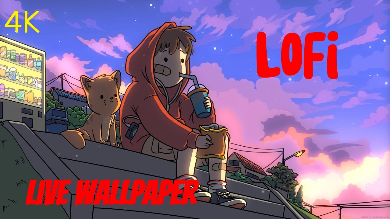 Study with me!🎧 - Boy with cat🎶 - Live Wallpaper | Chill LoFi 🎧 background music 4K | 2h
