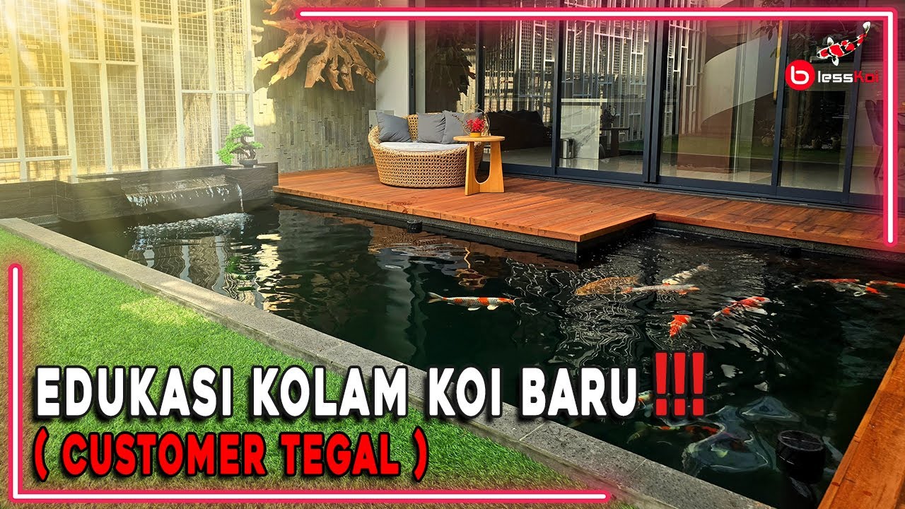 EDUKASI  KOLAM KOI BARU ❗️❗️❗ ( CUSTOMER TEGAL )