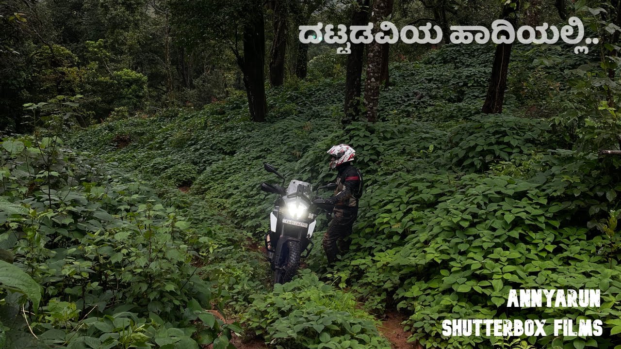 ದಟ್ಟಡವಿಯ ಹಾದಿಯಲ್ಲಿ!! - Into the Rabbit Hole Trail! - Mallalli Falls - Ft @SHUTTERBOXFILMS