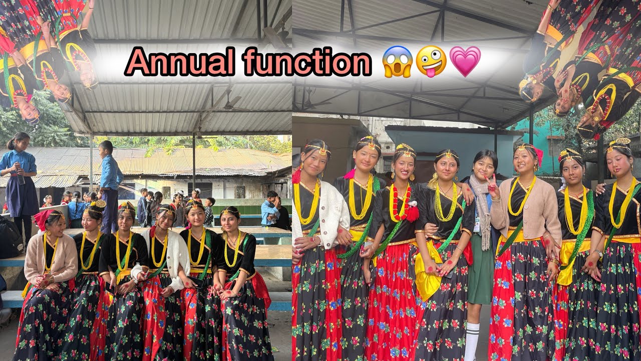 School annual function 😱🤗✨💗/#likesharesubscribe #foryoupage #viralvideo #vlog #annualfunction 