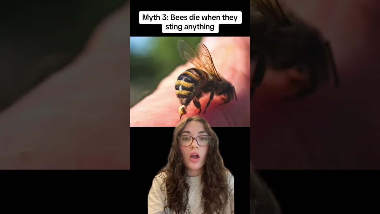 The truth behind popular pest myths!