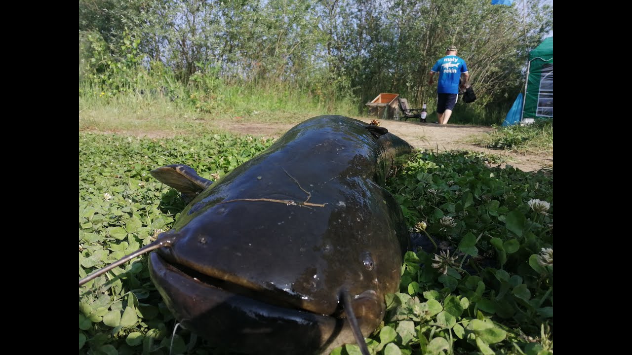 Pierwsza stacjonarka na suma w tym roku PZW