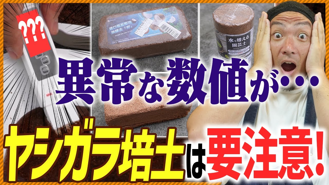 【購入元に気をつけろ】怪しいヤシガラ培土は要注意！ココカラ購入すれば安心！