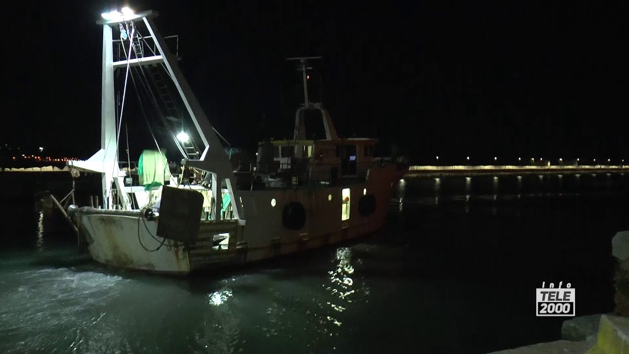 Fine fermo pesca, a Fano pescherecci di nuovo in mare da mezzanotte