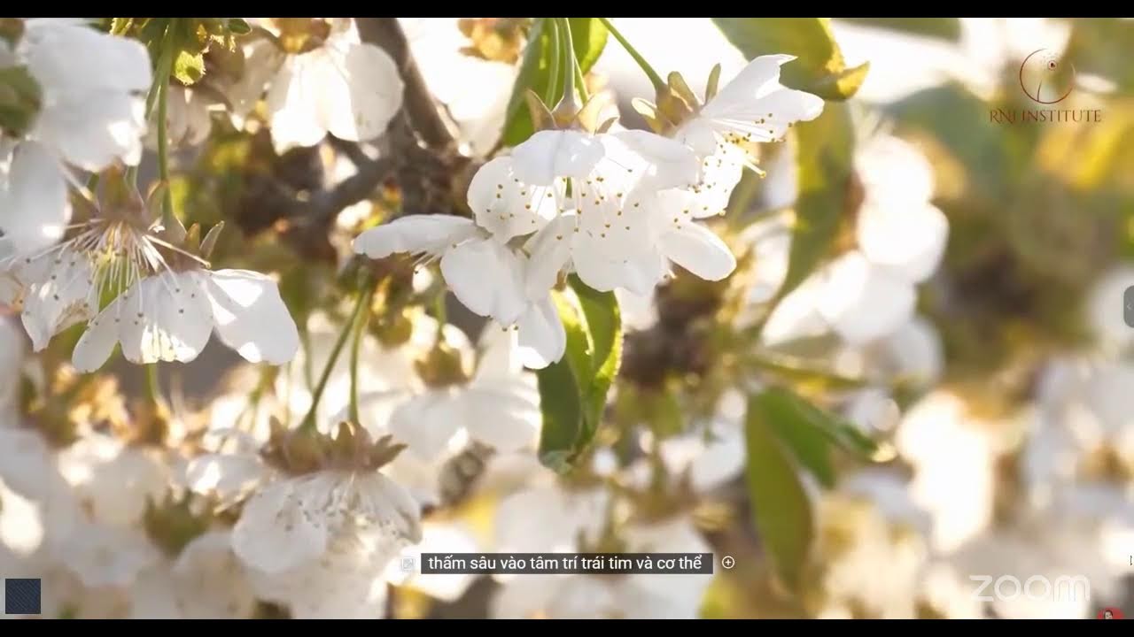 LÒNG BIẾT ƠN - Chiếc chìa khóa vàng, mở ra mọi cánh cửa đủ đầy và hạnh phúc trong cuộc đời!