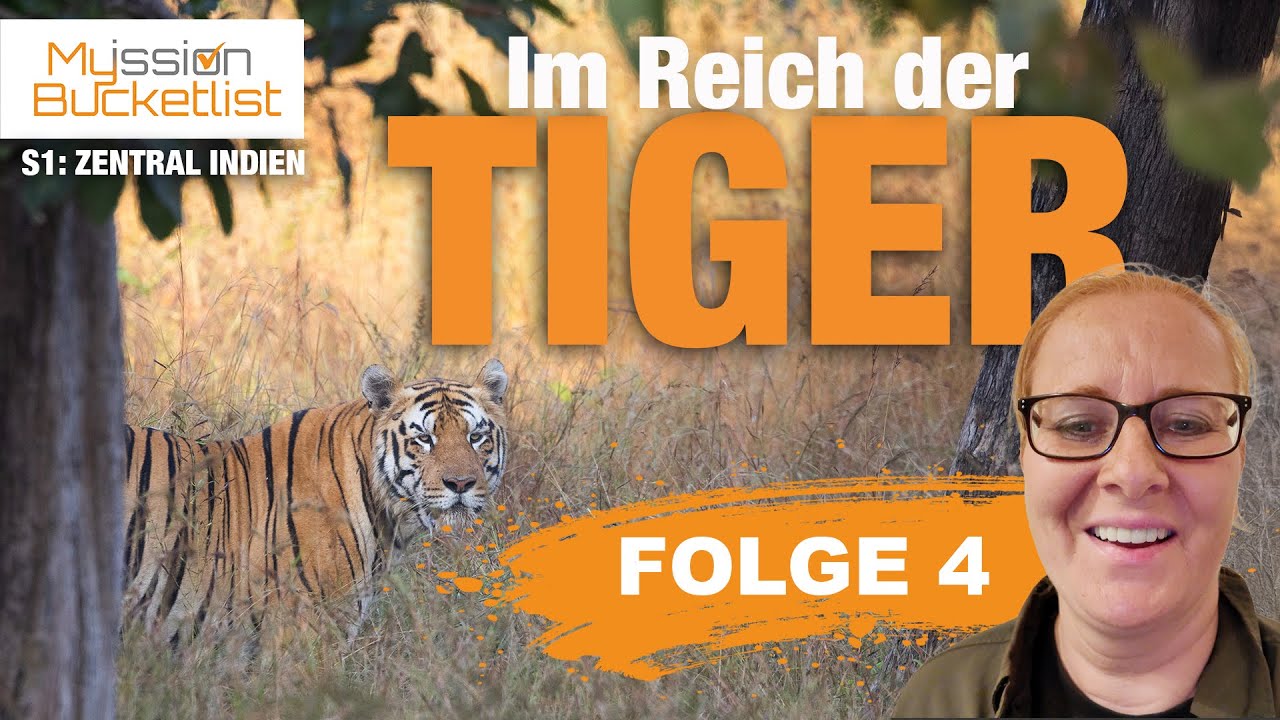 Mein bisher emotionalstes Wildtiererlebnis. FOLGE 4 Tadoba: Konnte ich meine Mission erfüllen?