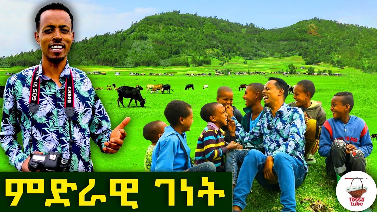 ✅ ምድራዊ ገነት የሚመስለው የወሎ ድንቅ ስፍራ ! ኩታበር ወረዳ አላንሻ ሜዳ ።  @Tossatube.   #የገጠርለዛ   #wollo