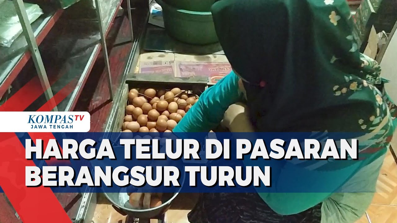Harga Telur di Pasaran Berangsur Turun