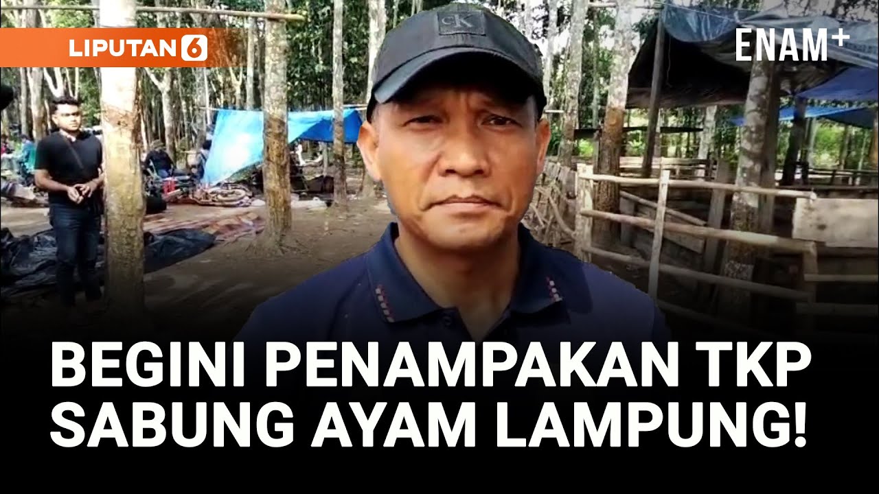 Penampakan Lokasi Judi Sabung Ayam, Tempat 3 Polisi Ditembak TNI | Liputan6