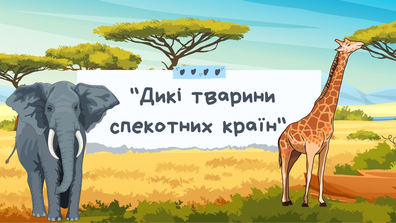 ГРА «Кого не стало» ДИКІ ТВАРИНИ СПЕКОТНИХ КРАЇН/ ТВАРИНИ АФРИКИ ДЛЯ ДІТЕЙ. Логопедичне заняття