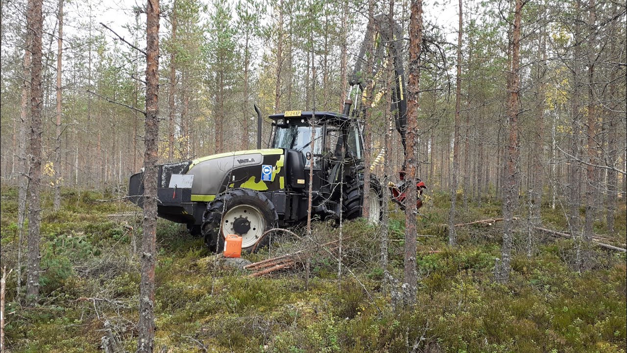 Valtra xm130 harvennusta leimikolla