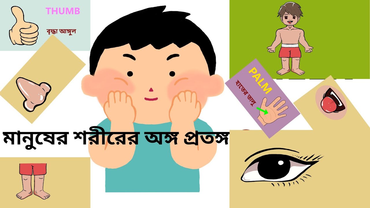 শরীরের অঙ্গ সম্পর্কে জানার সহজ উপায়