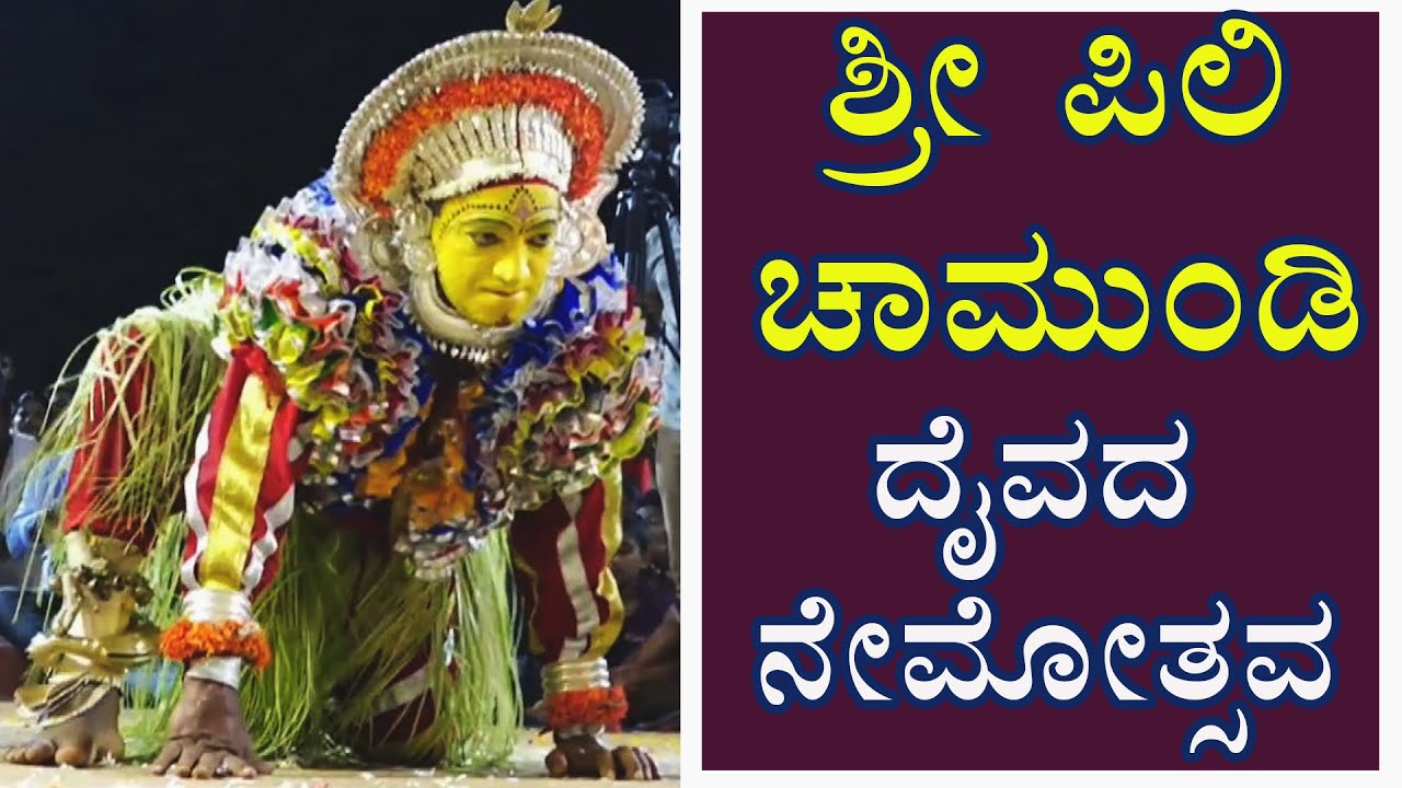 || ಶ್ರೀ ಪಿಲಿ ಚಾಮುಂಡಿ ದೈವದ ನೇಮೋತ್ಸವ  || Pili Chamundi deiva nemotsva