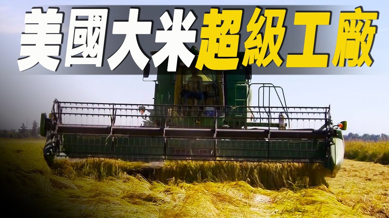 走進美國大米加工超級工廠，一睹稻米是如何變成白皙的米？美國人不愛吃米飯，為何米產業同樣發達？#大脑洞记事