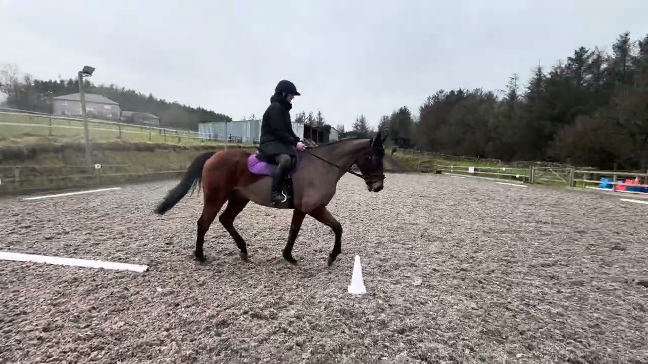 Kelly Burnhill and My Leige  ROR intro 1 Eriders Feb 2026