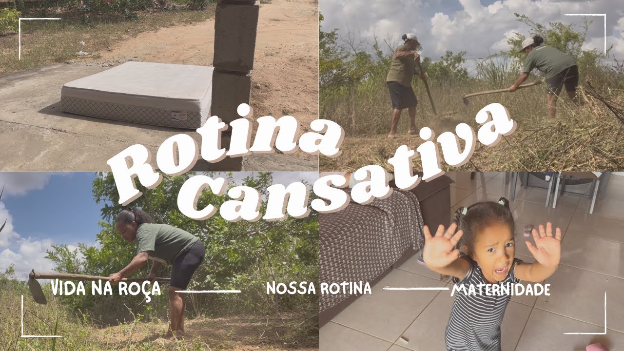 [ROTINA DESAFIADORA NA ROÇA] LIMPEZA NO QUINTAL 🏡 CASA ORGANIZADA ✨