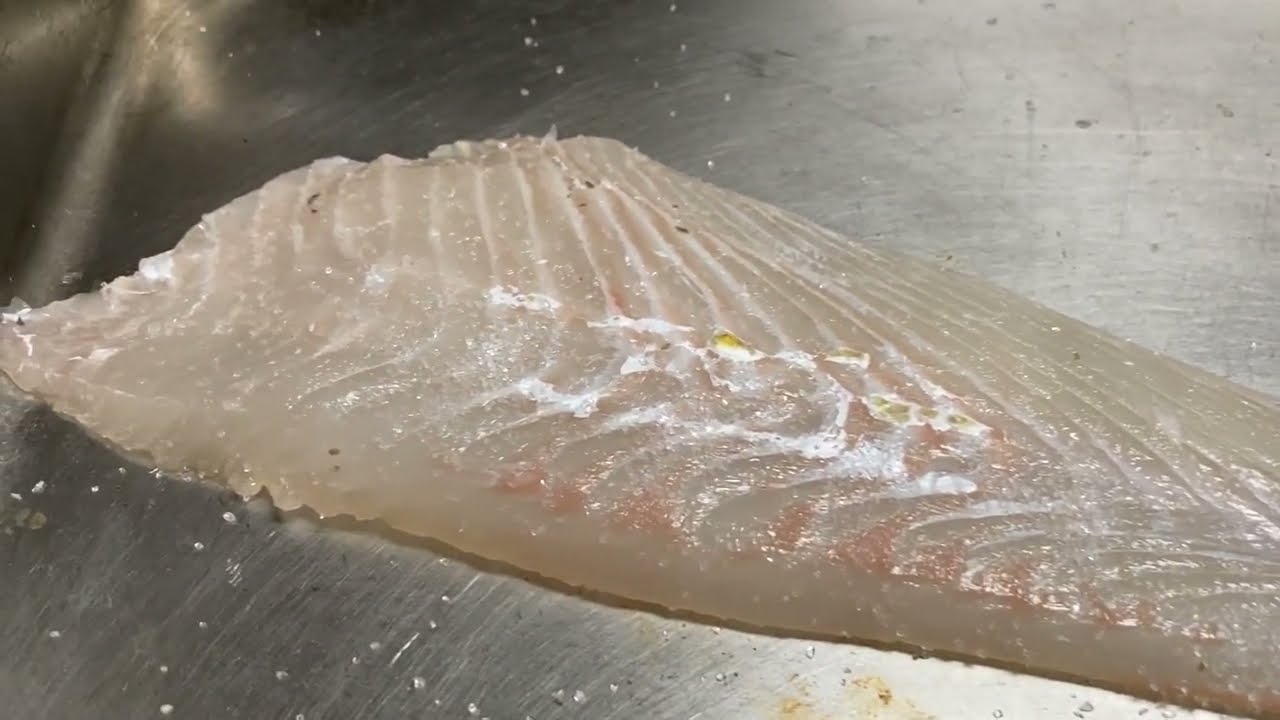 Flounder fillet Wrapped in Kombu ヒラメの昆布締め